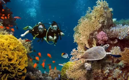 Baa Atoll Bliss: Avani+ Fares Maldives Resort Welcomes Guests to a Natural Island Paradise