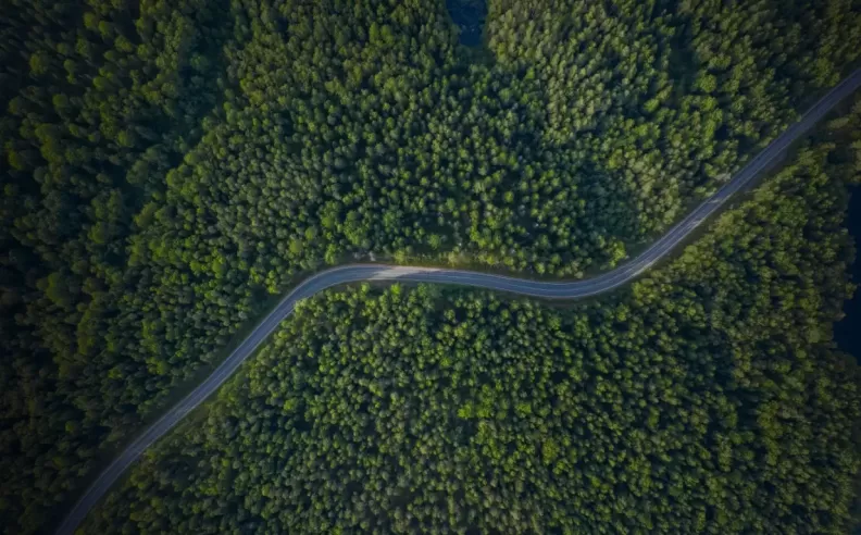The Tree-Nation Initiative by Audi