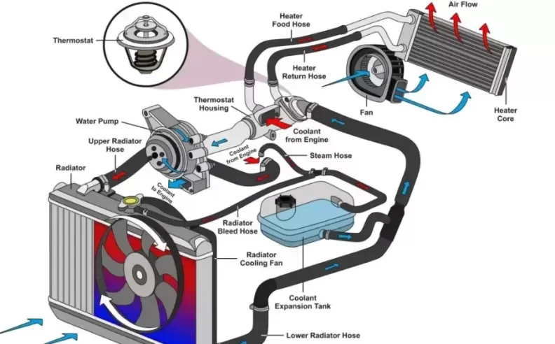 Components of a Car's Cooling System