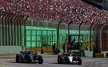 الاتحاد الدولي للسيارات يعتبر غزو مضمار سباق الجائزة الكبرى البرازيلي للفورمولا 1 