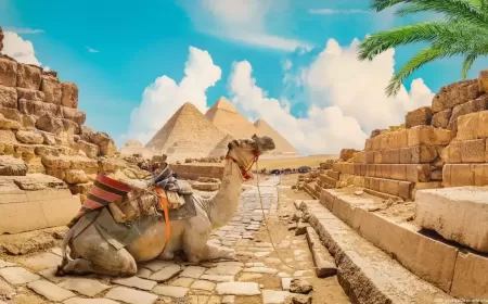 مصر المتنوعة: عروض جديدة عديدة مع وجهة السفر الآمنة والحائزة على جوائز مختلفة