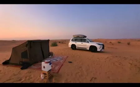 لعشاق الصحراء: دليلك للحصول على رحلة برية آمنه