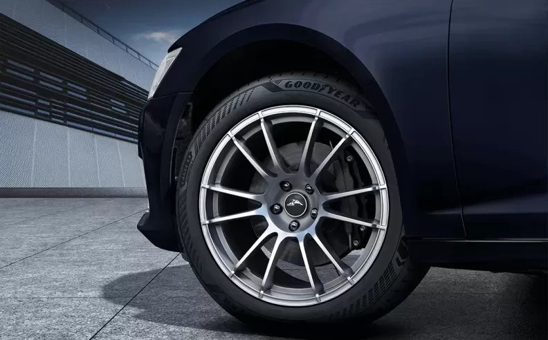 Goodyear Eagle F1 Asymmetric 6: Ready for anything