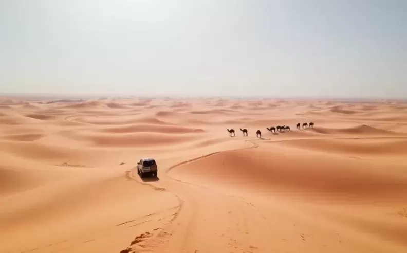 Off-road adventures in Bahrain