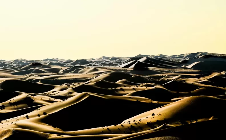 A Thrilling Journey Through the Empty Quarter in the 2025 Desert Challenge