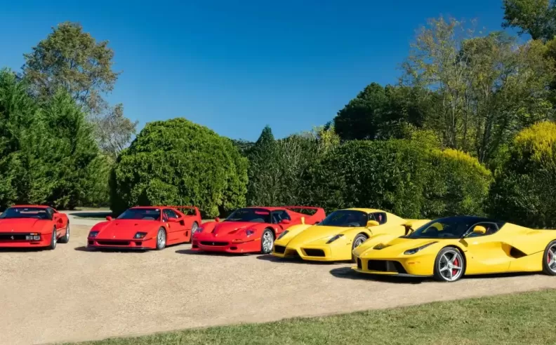 A Collector’s Journey