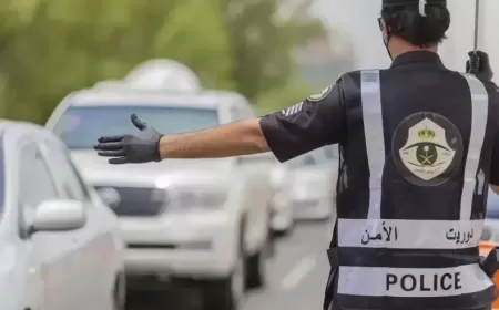 Most Common Traffic Violations and How to Avoid Fines