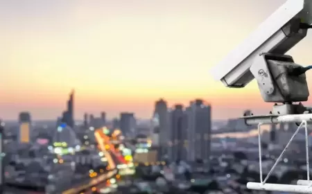 Unpaid Traffic Violations in the UAE: What Drivers Need to Know