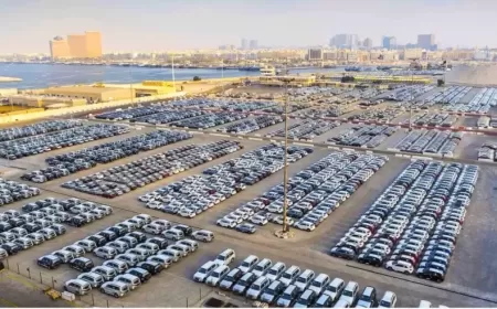 Dubai Launches the World’s Largest Car Market with Smart Facilities