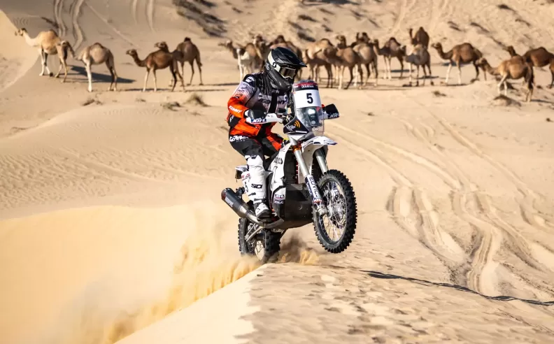 The Challenge of Al Qudra and Big Winners