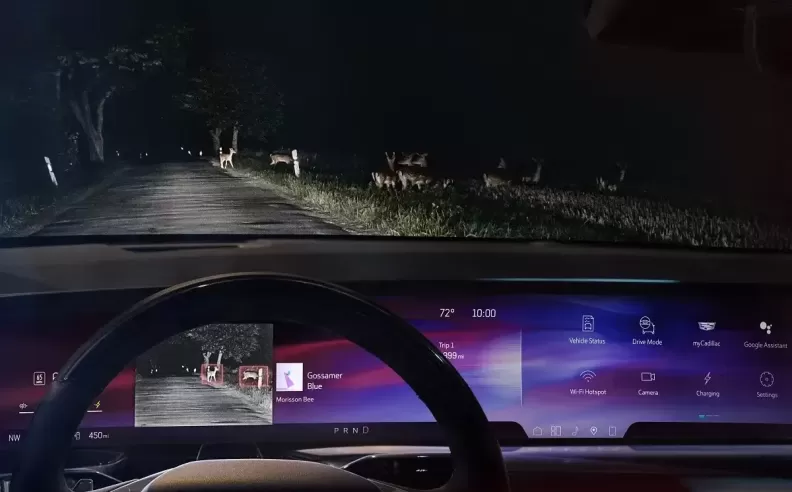 What is Rainy Night Mode and How Does It Work