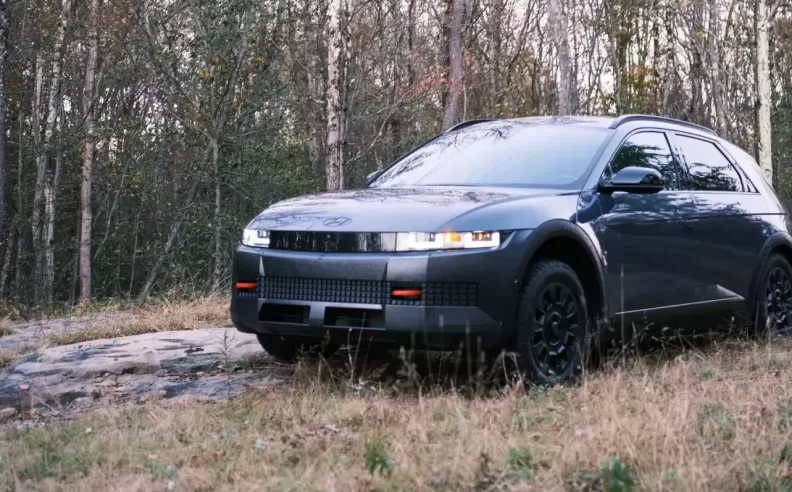 فشل بعض الشركات رغم ضخامة استثماراتها