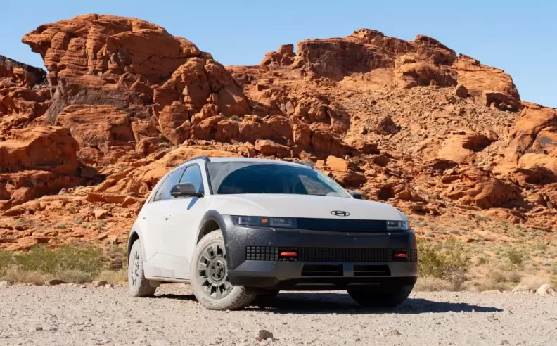 How Too Many Choices Hurt the EV Market