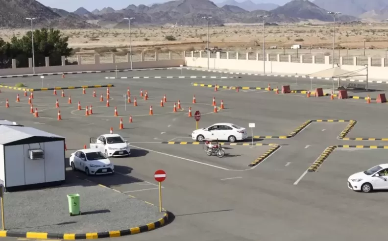 Leading Schools and What Sets Them Apart