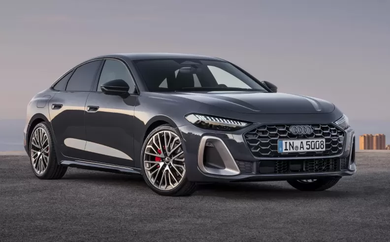 فشل استراتيجية الزوجي والفردي: من اللوحة البيضاء إلى حيرة الواقع