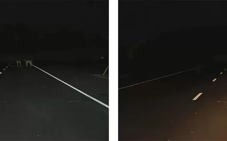 Glare vs Reality: What Do The Numbers Actually Say?