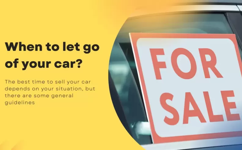 قاعدة 50%: المؤشر المالي الأهم